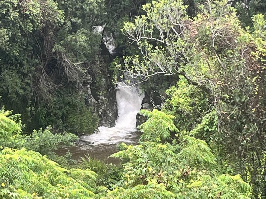 "La Ravine" Prive, Luxe, Avec Une Vue Unique Saint-Joseph Exterior foto